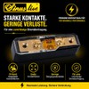 Sinuslive Fuse Holder SH-175 for M-ANL Fuse