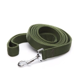 Strong Nylon Dog Leash 2-Layer, 4 FT to 7FT Long, 1 Inch Wide for Medium & Large Dogs (Green, 1" x 2 FT)