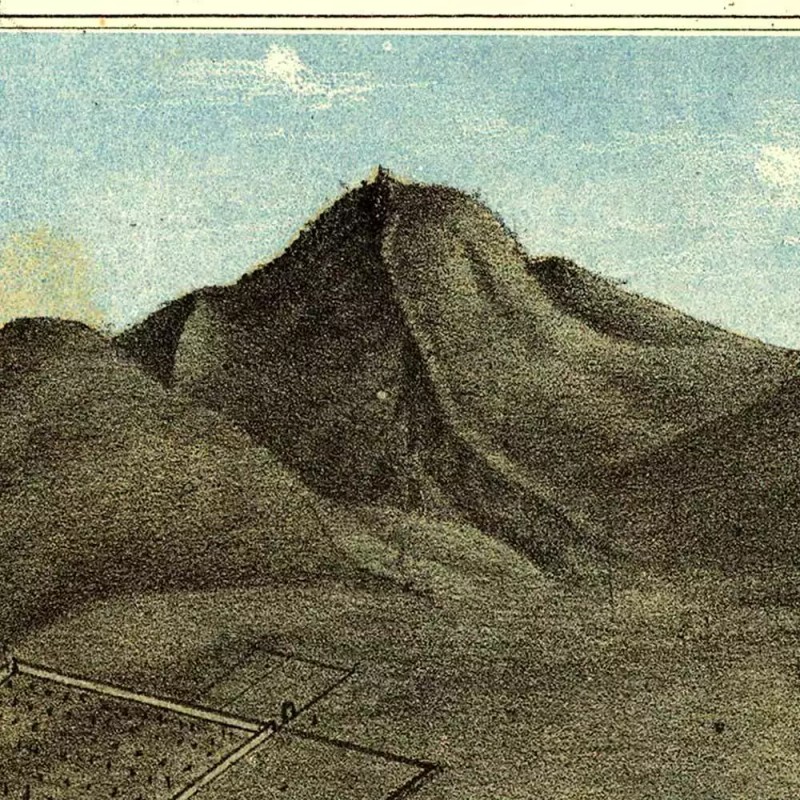 Amtigous Maps BIG Salt Lake City Utah in 1870 Birds