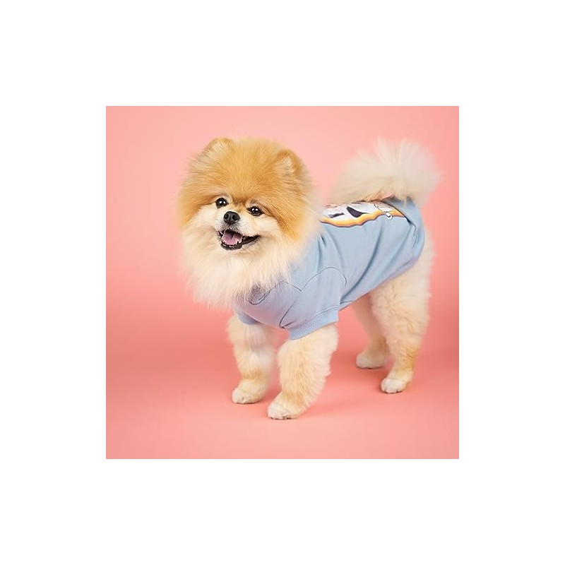 Doggy Parton Hoodie - XS