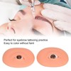 Eyebrow Microb Lading Eye Makeup Practice Eyeshadow Makeup Practice Eye