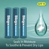 Blistex Bálsamo labial medicado, 0.15 onzas, 3 unidades (paquete de