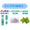 Sunayama, For Pollen and Nose Congestion Prevention, [Peppermint Menthol] Kitami