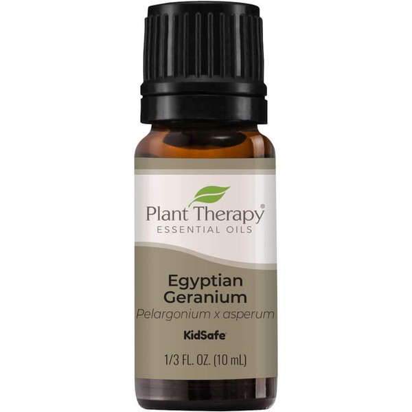 Plant Therapy Egyptian Geranium Essential Oil 100% Pure, Undiluted, Natural Aromatherapy, Therapeutic Grade 10 mL (1/3 oz)