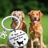 BNQL Golden Retriever Dad Gifts: Best Golden Retriever Dad Ever