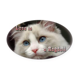 CafePress Ragdoll Cats Oval Car Magnet, Euro Oval Bumper Magnet