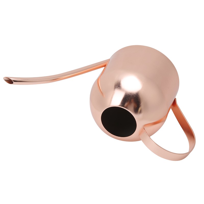 1000ml Stainless Steel Watering Can Sprinkle Pot Long Mouth Garden