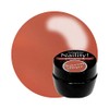 Naility! Gel Nail Color 198 Terracotta Brick 0.1 oz (4