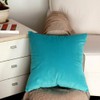Artcest Cozy Solid Velvet Throw Pillow Case, Decorative Couch Cushion