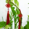Honbay Handicrafts 5PCS Red Chinese Knot Tassels Hanging Decorations Chinese