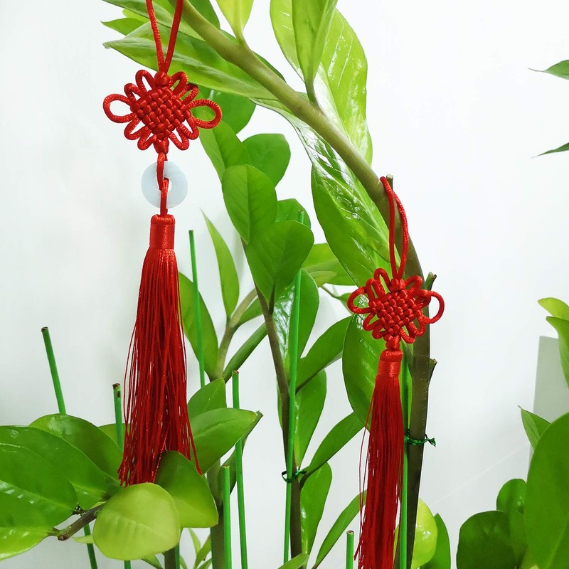 Honbay Handicrafts 5PCS Red Chinese Knot Tassels Hanging Decorations Chinese