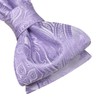 Hi-Tie Men's Bow Tie Self Tie Bow Ties Lavender Silk