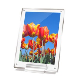 BBEST PFD-A4-5 Acrylic Magnetic Frame, Compatible with A4 Size, Price Card Stand, 5 Pieces, Vertical, Diagonally Positioned