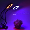 LED Grow Light DoubleEnd 360° Adjustable USB Powered Indoor Gooseneck