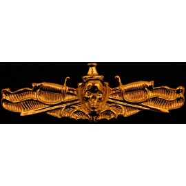 US Navy Surface Warfare Officer Skull Badge USN SWO Insignia Naval Golden Pin