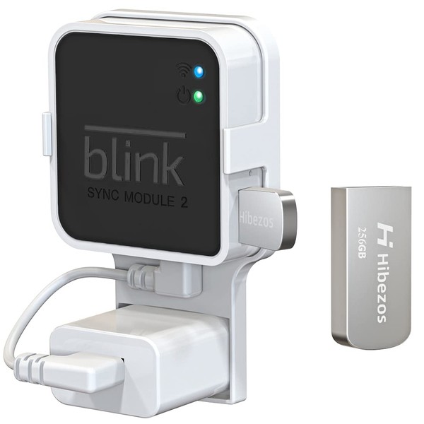 256GB USB Flash Drive and Outlet Mount for Blink Sync