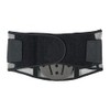 Condor Mesh Back Support with Lumbar Pad, 9 1/2 in