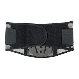 Condor Mesh Back Support with Lumbar Pad, 9 1/2 in Width, S, Black - 1M702