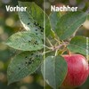 Naturen & Schädlingsfrei Fruit Veg - 750 ml