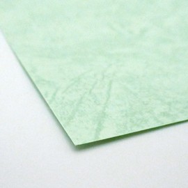 Premium Paper Workshop Colored Drawing Paper, Light Green, Leatherac, 286.7 lbs (130 kg), A4, 10 Sheets