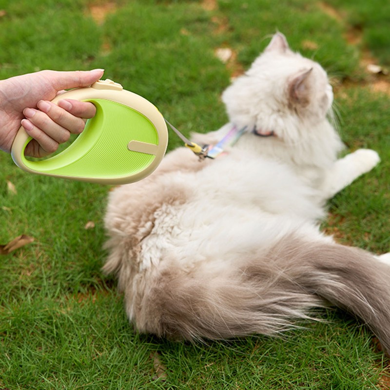 Dog Walking Leash Portable ABS Automatic Telescopic Retractable Dog Leash