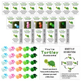 50 Sets Employee Appreciation Gifts Bulk You're Turtley Awesome Breathing Box Gifts Team Building Support Inspirational Positive Thank You Party Favor for Employees Staff Coworkers Teacher