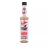 Sea Foam IC5 Fuel Injector Cleaner, 5.25 oz