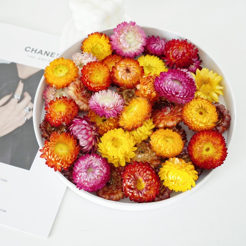 Pack of 30-40 dried flower heads for wedding and autumn