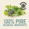 Natural Planet Spanish Thyme Essential Oil 15ML Natural 100% Pure