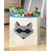Whitmor Kids Raccoon Canvas Collapsible Cube - 10 x 10