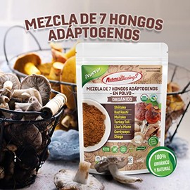 Natures Blessings Mezcla de extracto de 7 hongos adaptogenos orgánicos en polvo 100g                                                                  