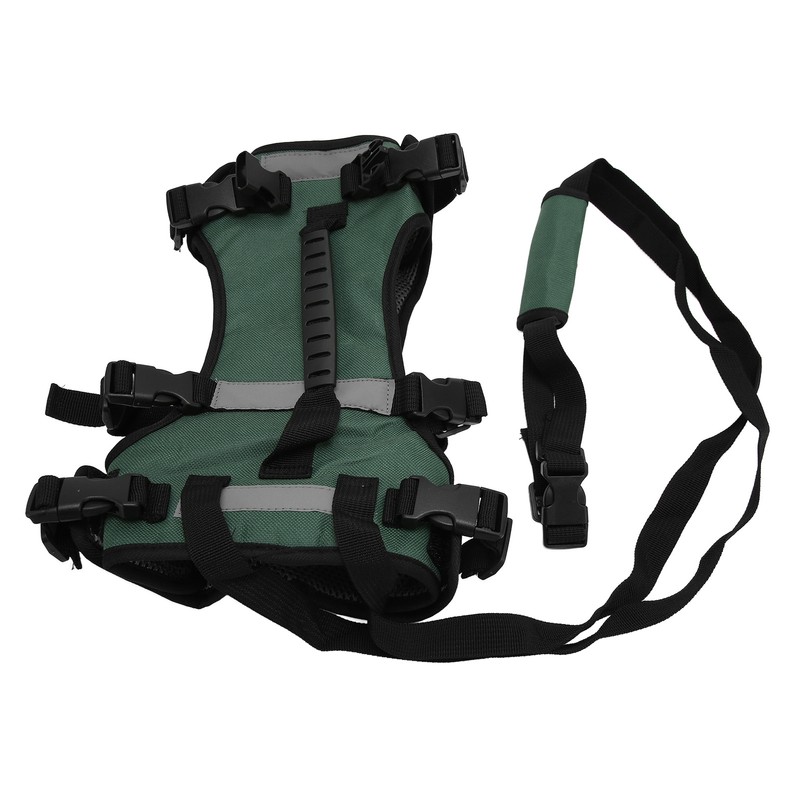 Cat Vest Harnesses Leash Adjustable Breathable Stylish Multifunctional Pet Walking