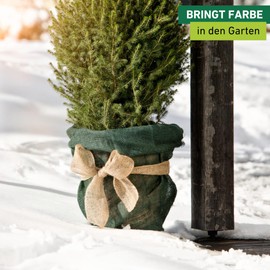 Windhager Jute Sack Eco Jute Bag, Fabric Bag, Potato Bag, Decorative Bag, Multifunctional Jute Bag, Winter Protection for Potted & Pot Plants, Green, 70 x 100 cm, 06071