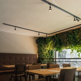 SLV LED 1-phase Spotlight Puria Track Rotating and Swivelling Track Spotlight, LED Spotlight, Ceiling Spotlight, Rail System, Interior Lighting, 1P Lamp, GU10 QPAR51, max. Energy efficiency E-A++