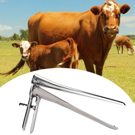 Speculum Original Medium Speculum Reusable Stainless Steel Instruments