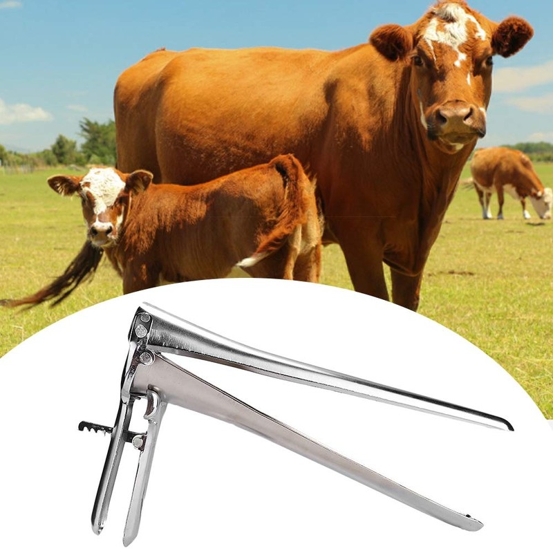 Speculum Original Medium Speculum Reusable Stainless Steel Instruments