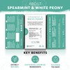 Nutra Tea - Spearmint & White Peony – Spearmint Tea