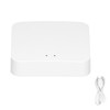 Intelligent Wireless Gateway Hub WiFi 802.11 B/g/n AI Voice Control