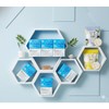 K낙산균 포스트바이오틱스 리얼 모유유산균 프롤린 30포, 6개 K Naksan Probiotics