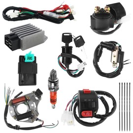 PRO BAT ATV Electric Wiring Harness for Chinese ATV Go Kart Taotao 50CC 70 90 110CC 125CC with Starter Solenoid Relay Ignition Voltage Regulator CDI