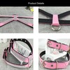 Newtensina Stylish Dog Harness with Diamond and Lead Cute Girl