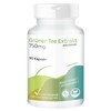 Green Tea Extract 750 mg - 90 Capsules - Decaffeinated