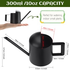 LINGSFIRE Small Watering Can for Indoor Plants, 10oz/300ml Tiny Watering Can with Long Spout, Metal Watering Can Modern Decorative, Mini Indoor Watering Can for Houseplants, Succulent, Bonsai