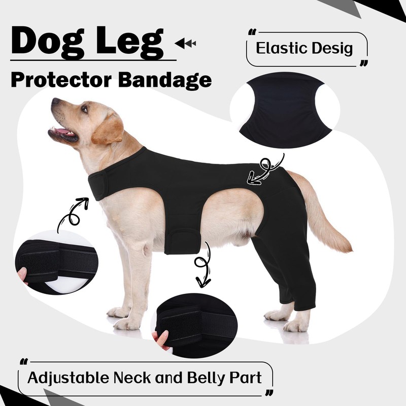 ROZKITCH Dog Pants to Prevent Licking for Rear Right Left
