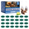 24 Pack Natural Rodent Repellent Balls with Peppermint Oil