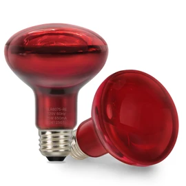 ALAMPEVER 2 Pack Red Heat Lamp Bulb, 75 Watt Infrared Light Bulb for Bearded Dragon, E26 Base, Durable Reptile Heat Bulb for Amphibian, Lizard, Snake, Tortoise, Gecko