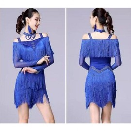 Tassel Latin Dance Dress - Line Dance, Zumba, Sports Practice, Performance Wear Outfit XXL/Deep Red (Skirt + Necklace)