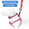 Pawtitas Reflective Dog Collar with Stitching Reflective Thread | Reflective