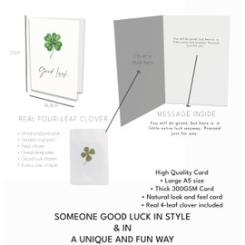 Good Luck Card with Real Pressed Four Leaf Clover – A5 Greeting Card with Genuine Lucky Charm Inside