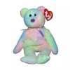 Ty Beanie Baby  GROOVY The Ty Dyed Pastel Bear 8"5' Stuffed Plush New MWMT's